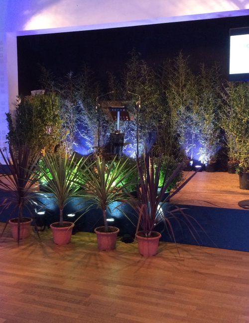 intégrateur audiovisuelle